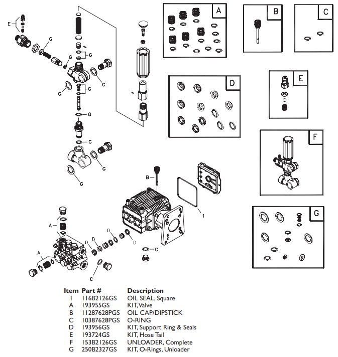 Pump repair kits for 195081GS pump